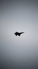 Fototapeta premium Silhouette of a powerful fighter jet soaring through a vast, overcast sky, showcasing advanced aviation and military might.