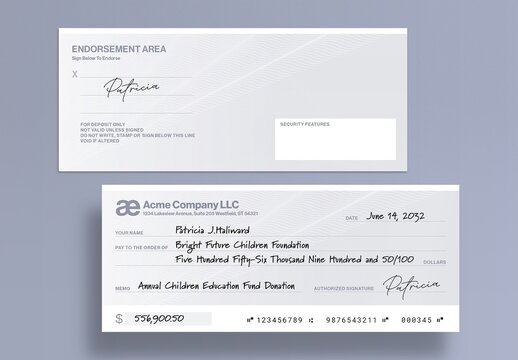 Blank Check Template / Blank Cheque Template