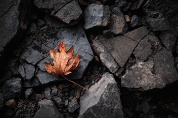 A close-up shot showcasing a dry, orange leaf resting upon a collection of fractured dark rocks