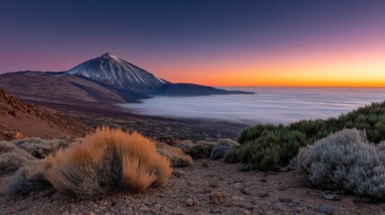 Naklejka premium Teide volcano shows clouds and dense plants in the foreground during twilight with fog covering the mountain base.