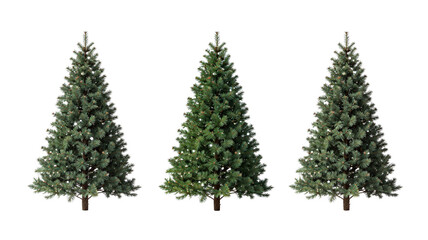 Obraz premium Three isolated Christmas trees on a transparent background, ready for holiday decorations and festive designs