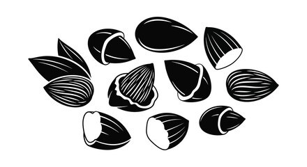 A collection of various almond shapes and cracked shells are presented in a striking black silhouette high quality © jivect02