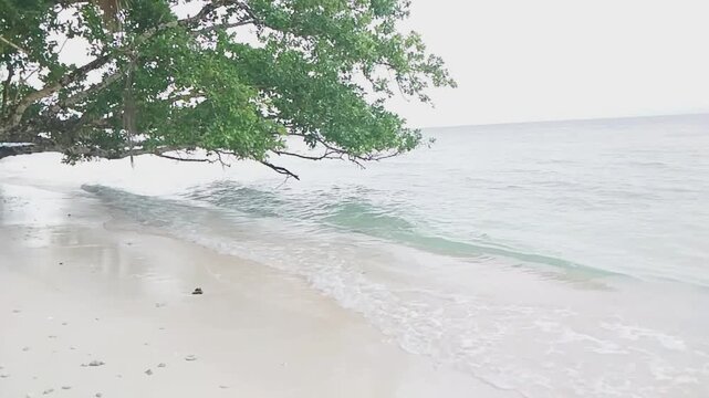 Calm Ocean Waves on Pristine Tropical Beach in West Papua