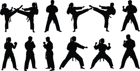 Silhouette collection of karate fighters performing kicks and punches isolated on white background, martial arts training and self defense action set © MD SHAHARIR