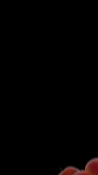 Apple Vertical Drop Transition with Alpha on Transparent Background. 3D rendering