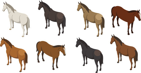 Fototapeta premium Isometric farm horse collection, realistic stallions and mares in multiple natural coat colors illustration set