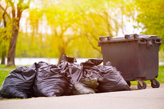 Lots of black garbage bags near the container in the city park. High quality photo