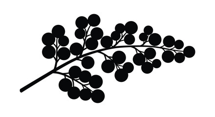 A detailed depiction of a berry branch with numerous circular fruits presented as a striking silhouette high quality © Jahid