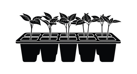 A row of young seedlings growing in a plastic seed starting tray depicted in striking black silhouette © Jahid
