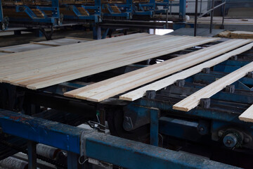 Naklejka premium Industrial plant sawmill - production of wooden boards with modern machines