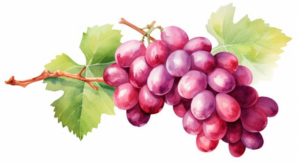 A vibrant bunch of red grapes with green leaves on a stem