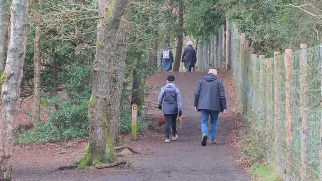 Family walking calm and relax in  Frensham Country Park. South of Farnham, Surrey. UK