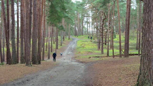Family walking calm and relax in  Frensham Country Park. South of Farnham, Surrey. UK