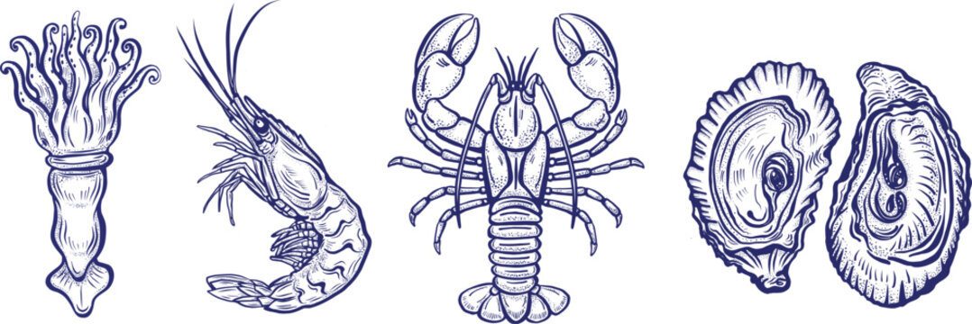 Hand Drawn Seafood Set, Squid Shrimp Lobster and Oysters Vintage Engraving Style