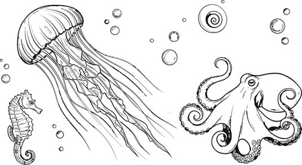 Underwater world vector set hand drawn sea creatures jellyfish seahorse and octopus isolated on transparent background © MDMUKTADIR