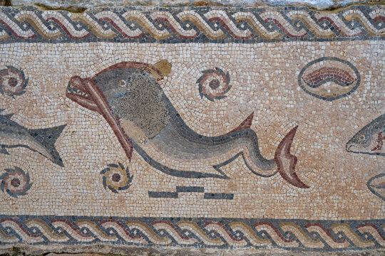 Fish mosaic detail from Milreu Roman villa, Algarve, Portugal