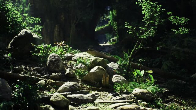 Sun patches on forested stone steps create highcontrast pockets of light and shadow, warm green highlights across boulders and moss, inviting ascent for hikers