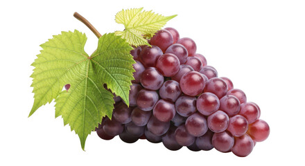 Fototapeta premium A bunch of red grapes with green leaves on transparent background