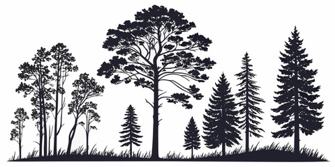 A serene forest scene with tall trees and a clear sky in the background © AX