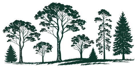 A serene landscape with a variety of trees and a gentle slope in the foreground © AX