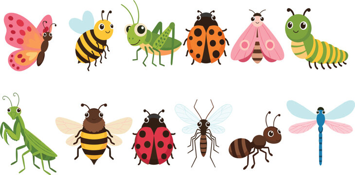 Cute Cartoon Insect Collection with Butterfly Bee Grasshopper Ladybug Ant Dragonfly and Caterpillar Flat Vector Illustration Set.