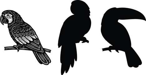 Fototapeta premium Exotic parrot and toucan bird silhouettes on branch tropical fauna vector illustration
