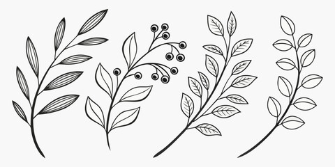 A delicate arrangement of various leaves and berries in a monochromatic design. © Mamun