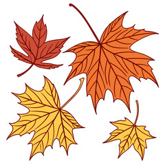 Fototapeta premium Autumn maple leaves in various shades of red orange and yellow falling from tree branches symbol of season change