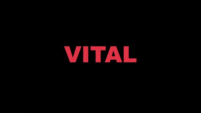Red 'VITAL' word boldly displayed on a sleek black screen, modern corporate branding concept.