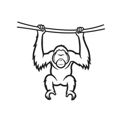 Hanging orangutan outline vector flat illustration design © artist