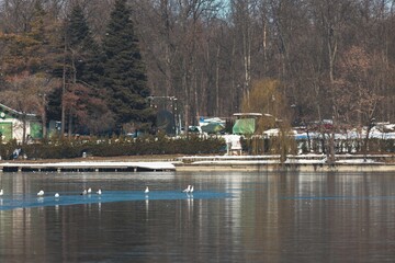 A serene winter day by the lake showcases birds gracefully moving over the still water. Snow blankets the ground while trees stand majestically around the scene, creating a peaceful atmosphere
