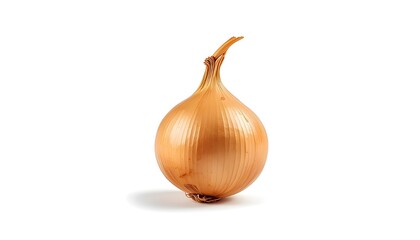 Fresh Whole Onion Isolated on White Background