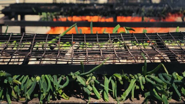 Traditional Catalan green onion calcot, The Calcotada de Valls Festival, annual event that celebrates this tradition, usually at the end of January. Close-up of grilled green onions.
