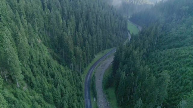 Aerial drone panorama of a winding asphalt road curving through a deep valley beside a rushing rocky river, surrounded by dense green pine forests on steep misty slopes