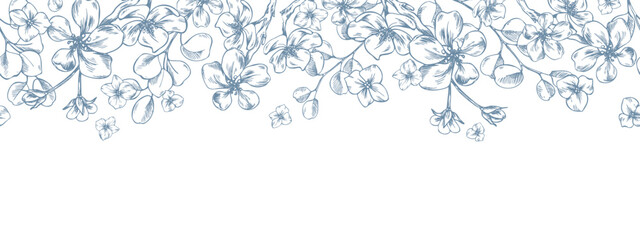 Blooming apple tree branches with lovely forget-me-nots and eucalyptus branches. A hand-drawn graphic illustration in line art style with ink. A seamless border pattern for spring holiday, wedding. © NATASHA-CHU