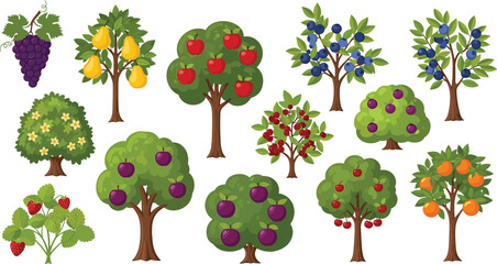 Fruit Trees Collection Cartoon Vector Illustration Set with Apple Orange Pear Plum Cherry and Berry Plants © Sumon Creative
