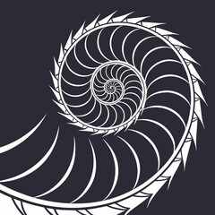 Obraz premium Intricate White Spiral Pattern with Sharp Edges on Dark Background, Resembling a Stylized Nautilus Shell or Industrial Drill Bit for Abstract Design