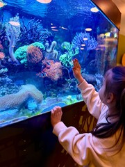  Curious little girl looking at fish in a large aquarium. Child observing underwater life with interest and wonder. Education, childhood curiosity, marine life and learning concept.