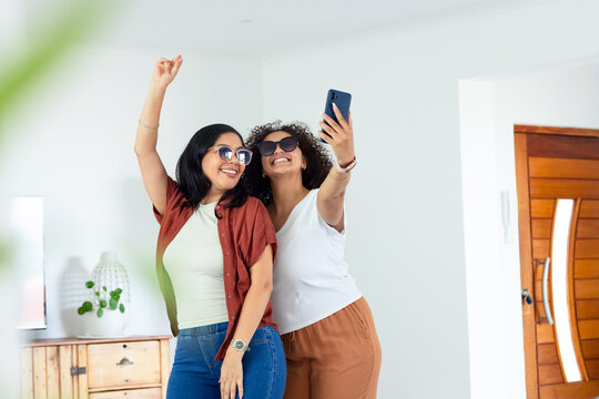 Colony of tiny mushrooms growing together on decaying wood in shaded forest floor with moss