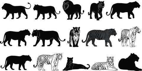Big cat silhouettes, sixteen diverse lions, tigers, panthers, leopards in dynamic poses, detailed illustrations, striped patterns, feline diversity © Nahl
