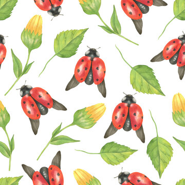 Seamless pattern of ladybugs, flowers and leaves