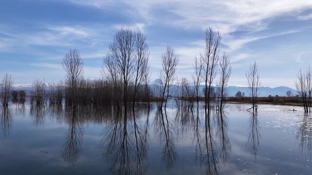 The revival of Karag&ouml;l, once dried up in the Elmalı district of Antalya, thanks to rainfall; the unique reflection of trees submerged in water against the backdrop of snow-capped mountains.