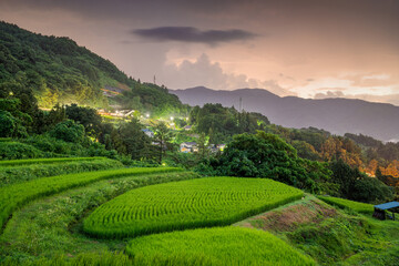 Obasute, Nagano, Japan Rice Terraces