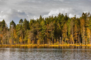 Autumn forest reflecting on lake in Szemud, Poland.