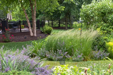 Fototapeten Lindgrün Tall, columnar, low maintenance and drought resistant, Karl Foerster Feather reed grasses are a beautiful living fence providing privacy and tranquility in this lush backyard retreat.    © MOLLY SHANNON 
