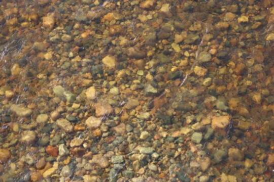 Clear river water flowing over a bed of stones