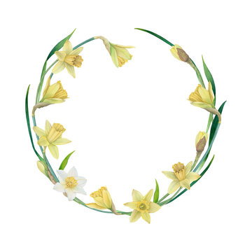 Watercolor Daffodil Floral Wreath