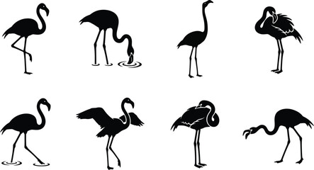 Stylized vector illustrations of various flamingos in different poses and actions