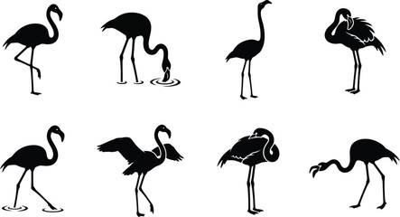 Collection of black silhouette flamingos in various poses and activities