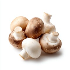 Champignon mushrooms collection isolated on white background, fresh mushrooms